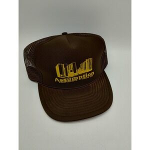 Vintage Mesh Back Snap Truckers Hat Brown Assumption Coop Grain Co. San Sun